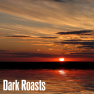 Order Boca Java Gourmet Coffee Dark Roasts