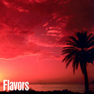 Boca Java Flavored Coffees; BocaJava.com