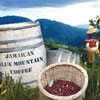 Jamaican Blue Mountain Coffee 
