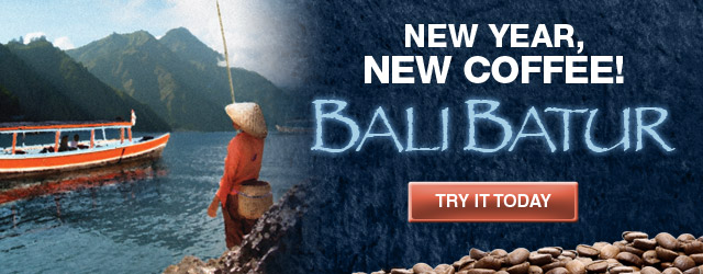 New Year, New Coffee- Bali Batur