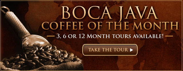 Bodum Iced Coffee French Press