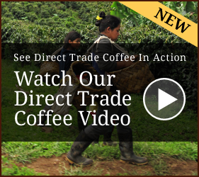 Watch Our Direct Trade Coffee Video