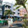 ocean drive
