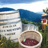 Jamaican Blue Mountain Coffee
