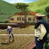 Pure Peruvian Coffee