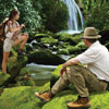 Panamanian Rainforest Coffee