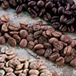 Coffee Roast Levels
