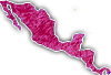Coffee of South America